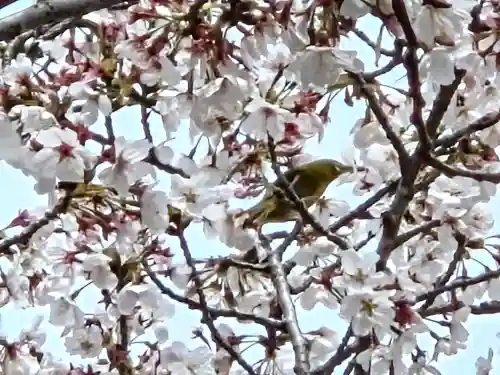 押部谷住吉神社(兵庫県)