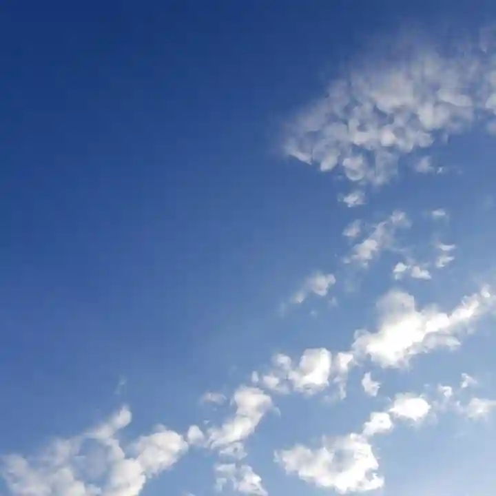 日枝神社の自然