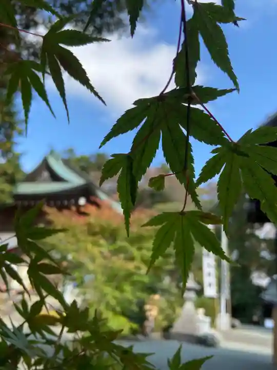 比々多神社の自然