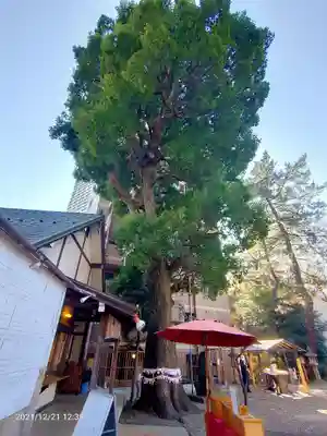上目黒氷川神社(東京都)