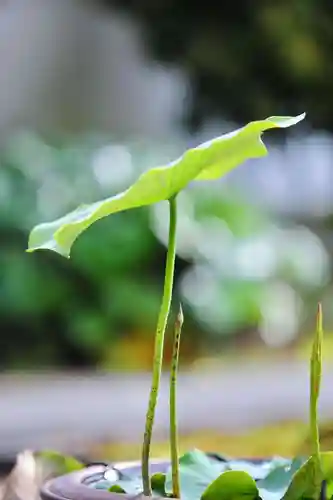 浄土寺(兵庫県)