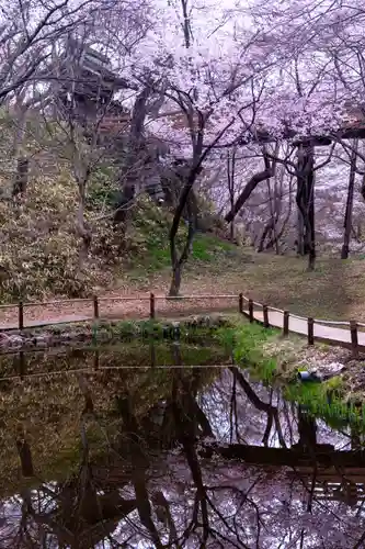 新城藤原神社(長野県)