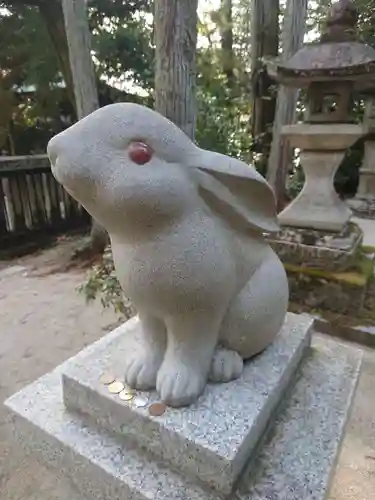 岡崎神社の狛犬