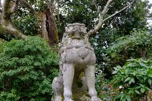 吉水神社の狛犬