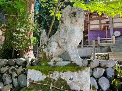 白川八幡神社の狛犬