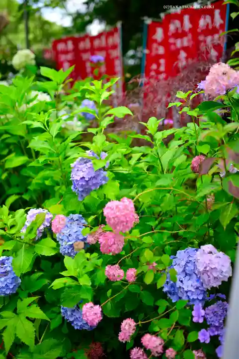 連祥院(栃木県)