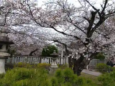 吒枳尼天(法伝寺)(京都府)
