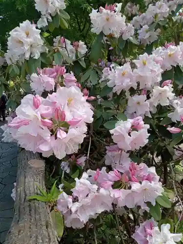 東長谷寺　薬王院の自然
