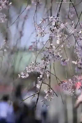三嶋大社(静岡県)