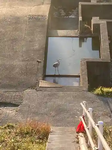 野田神社の周辺