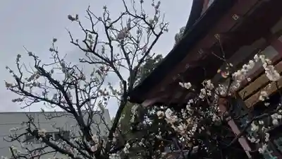 西院春日神社(京都府)