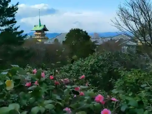 高台寺（高台寿聖禅寺・高臺寺）の御朱印