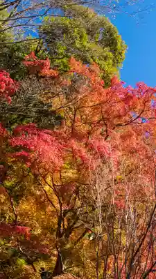 長谷寺(奈良県)