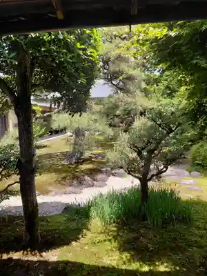 妙顯寺（妙顕寺）(京都府)