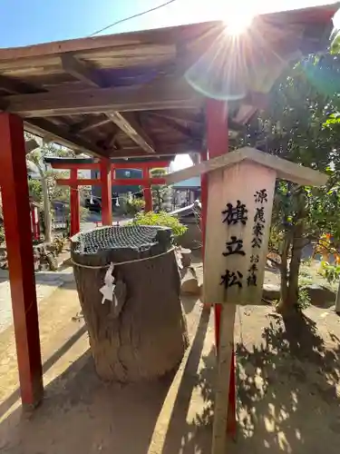 由比若宮（元鶴岡八幡宮）(神奈川県)