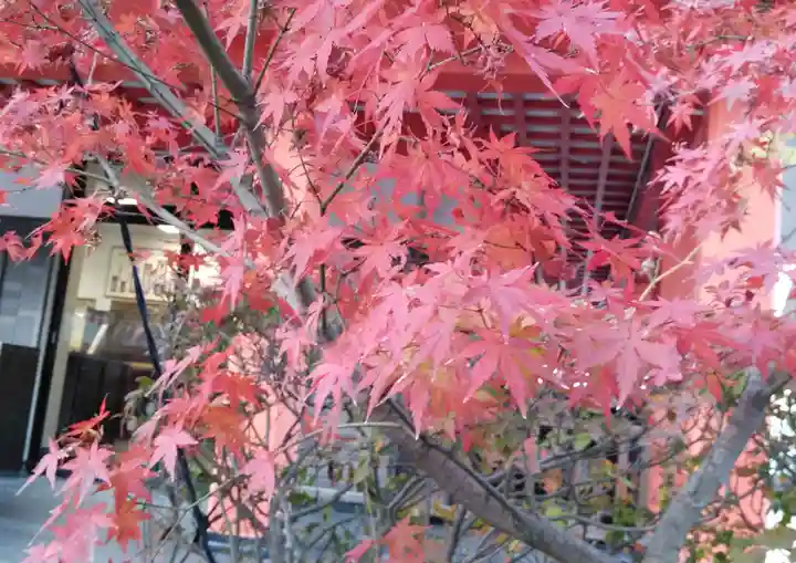 高幡不動尊 金剛寺の自然