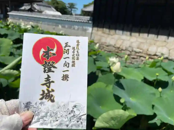 雲龍山 本證寺(愛知県)