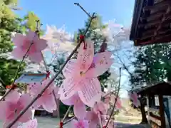 滑川神社 - 仕事と子どもの守り神のおみくじ