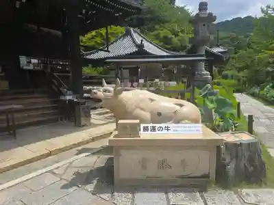 三室戸寺(京都府)