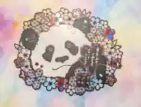 一乗寺の御朱印