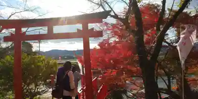 出雲大神宮の鳥居
