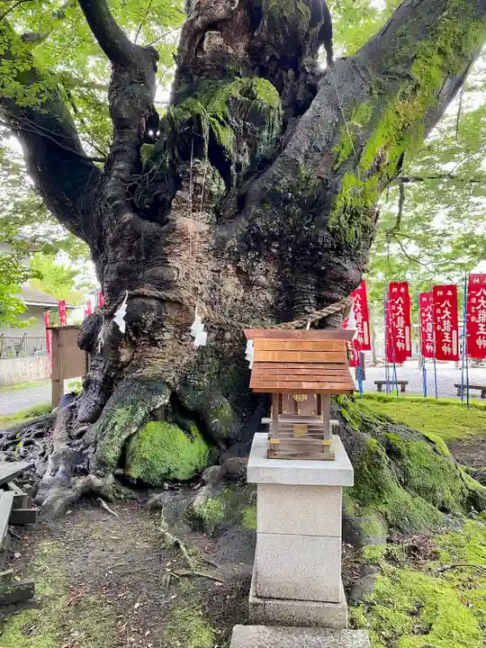 秩父今宮神社の自然