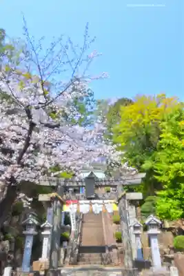 師岡熊野神社(神奈川県)