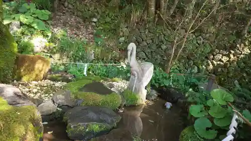 出雲大神宮の狛犬