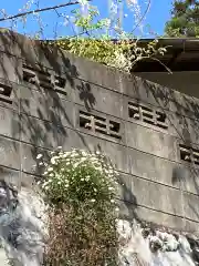 大山祇神社(福岡県)