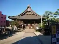 海徳寺の本殿・本堂