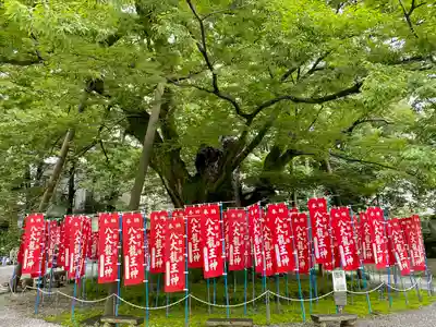 秩父今宮神社(埼玉県)