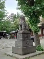 牛嶋神社の狛犬