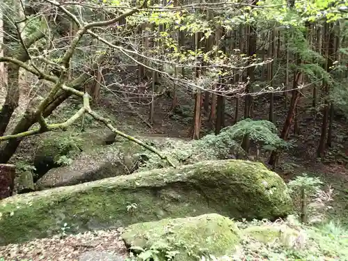 名草厳島神社の自然