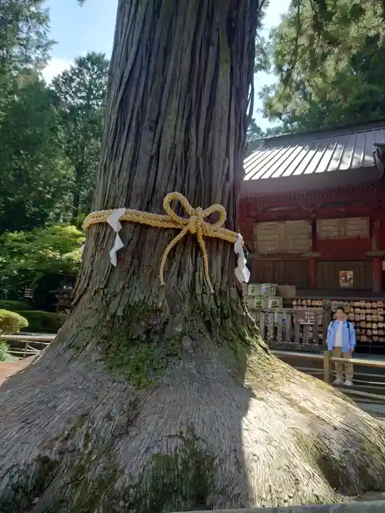 北口本宮冨士浅間神社(山梨県)