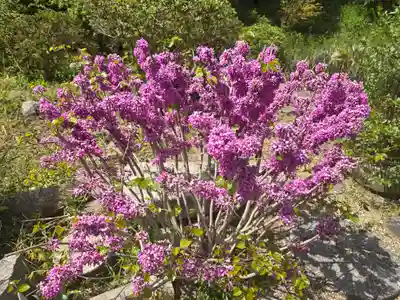 普門院(奈良県)