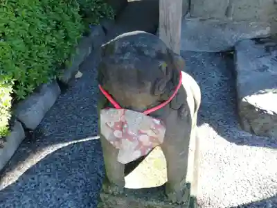 浅草寺の狛犬