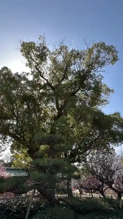 屯倉神社の{uncategorized: "未分類", other: "その他", undefined: "問題あり", building: "その他建物", grave: "お墓", sacred_gate: "鳥居", guardian: "狛犬", statue: "像", buddha: "仏像", history: "歴史", nature: "自然", garden: "庭園", animal: "動物", pagoda: "塔", temizu: "手水舎", mountain_gate: "山門・神門", sanctuary: "本殿・本堂", subordinate: "末社・摂社", art: "芸術", scenery: "景色", jizo: "地蔵", ema: "絵馬", goshuin: "御朱印", omikuji: "おみくじ", items: "授与品その他", amulet: "お守り", goshuincho: "御朱印帳", eats: "食事", festival: "お祭り", votive_dance: "神楽", shichigosan: "七五三参", wedding: "結婚式", experience: "体験その他", initially: "初詣", around: "周辺", anti_infection: "感染症対策"}
