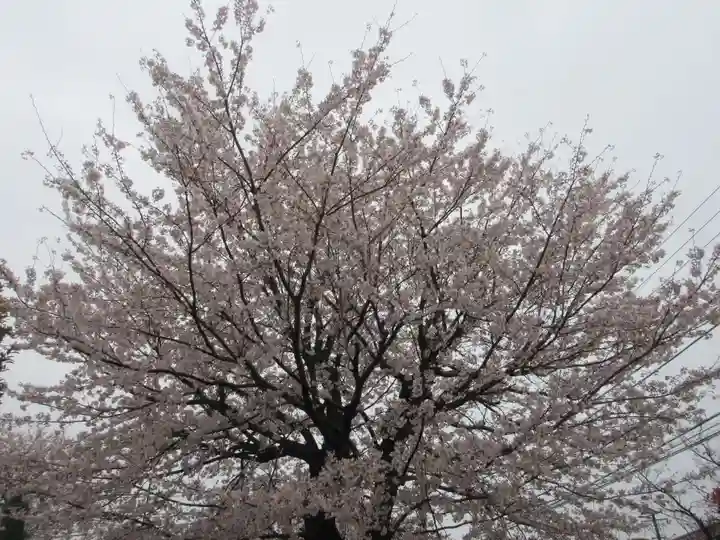 東光寺(神奈川県)