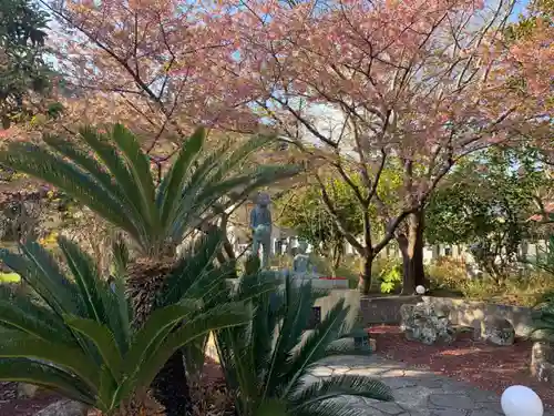 かっぱの寺 栖足寺の自然
