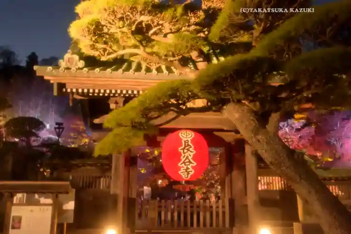 長谷寺(神奈川県)