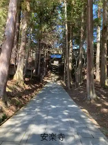 安楽寺(長野県)