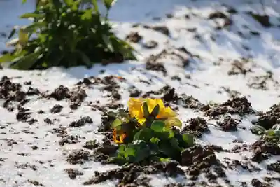 大鏑神社の庭園