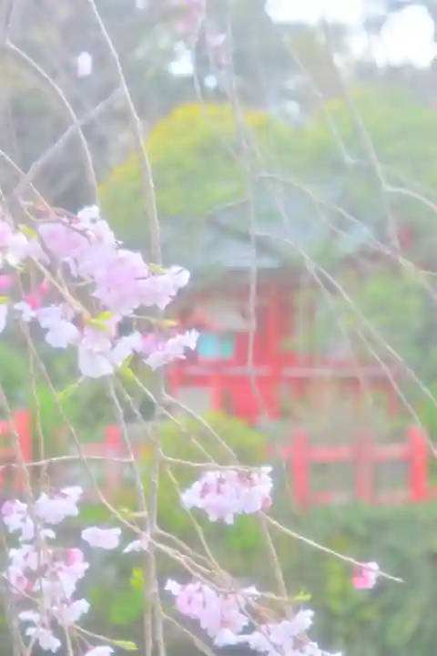 三嶋大社(静岡県)