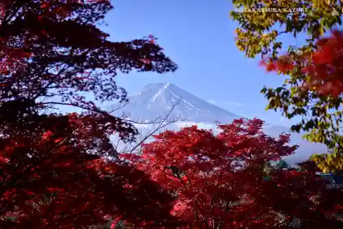 新倉富士浅間神社(山梨県)