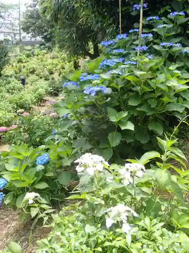 妙楽寺(神奈川県)