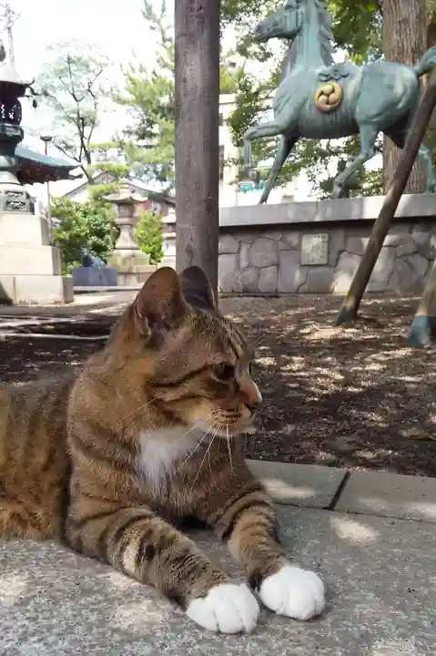 八幡神社の動物