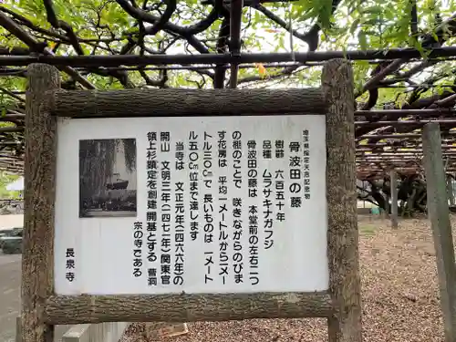 長泉寺(埼玉県)