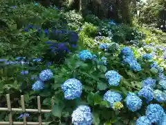 妙楽寺(神奈川県)