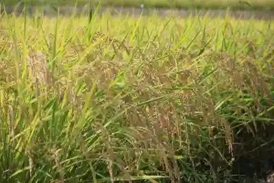 高司神社〜むすびの神の鎮まる社〜の周辺