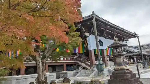  智積院(京都府)